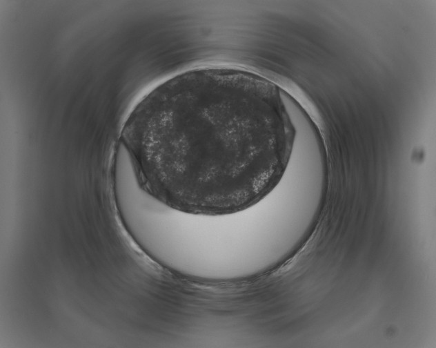 X0000094441388200712061127