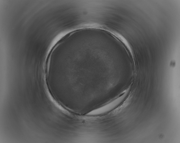 X0000094441389200712061127