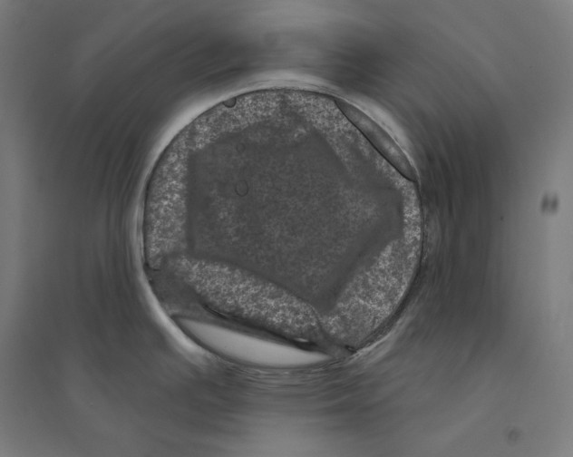 X0000094441391200712061127