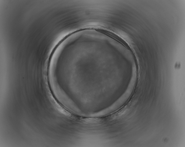 X0000094441392200712061127