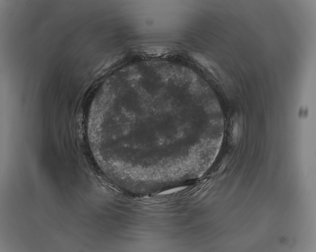 X0000094441394200712061126