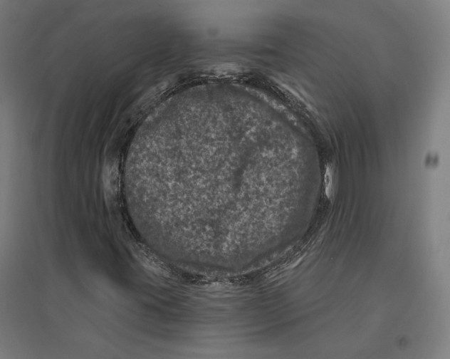 X0000094441395200712061126