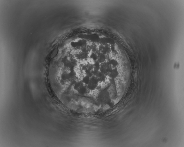 X0000094441397200712061126