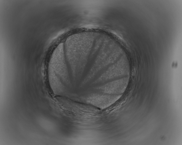 X0000094441398200712061126