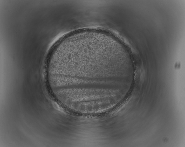 X0000094441400200712061126