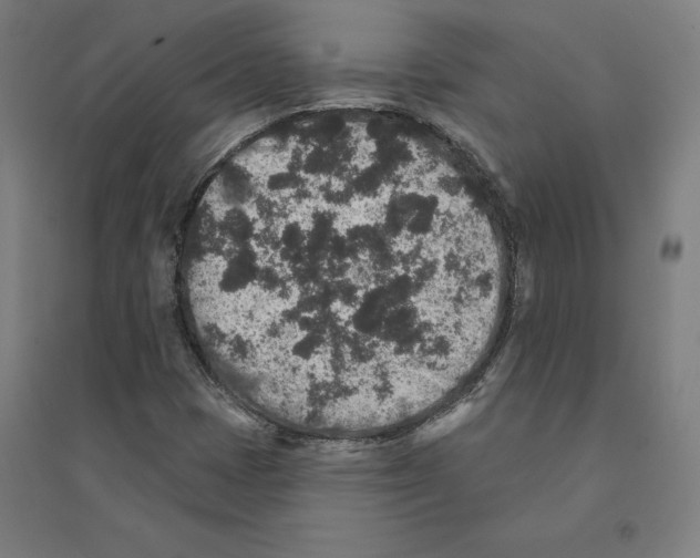 X0000094441401200712061126