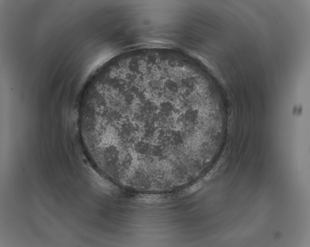 X0000094441402200712061126