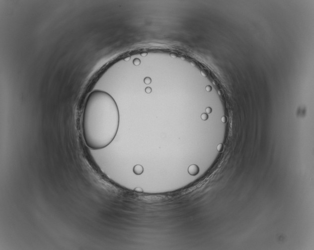 X0000094441404200712061126