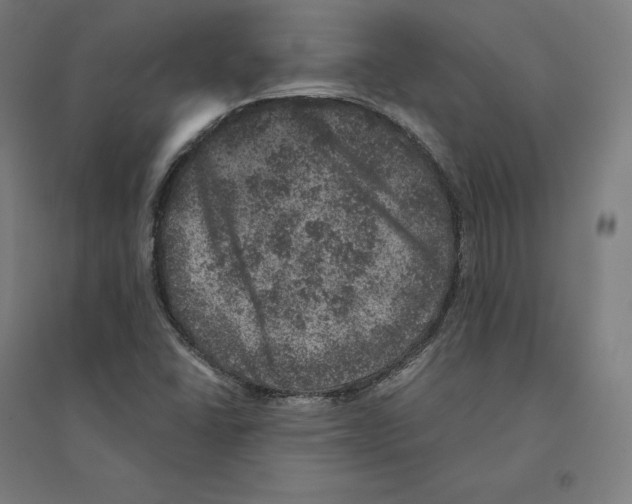 X0000094441406200712061126