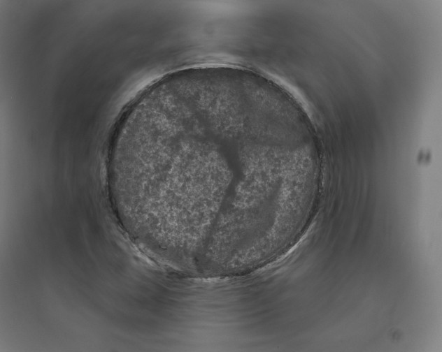 X0000094441407200712061126