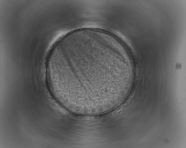 X0000094441408200712061126