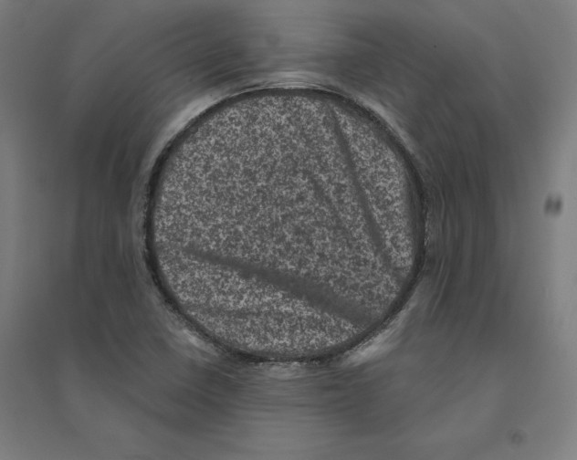 X0000094441410200712061126