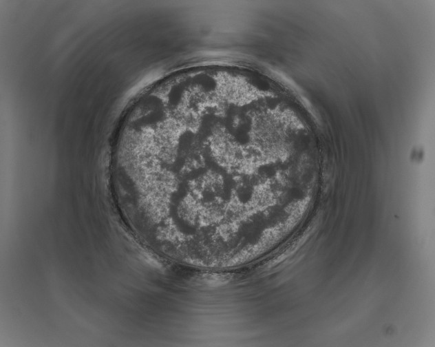 X0000094441411200712061126