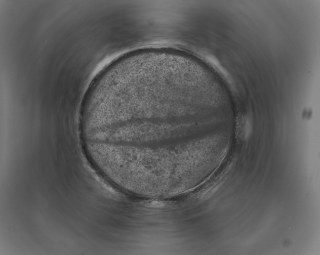 X0000094441412200712061126