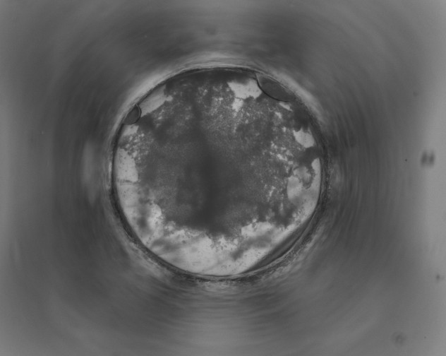 X0000094441413200712061126