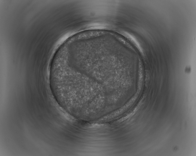 X0000094441419200712061126