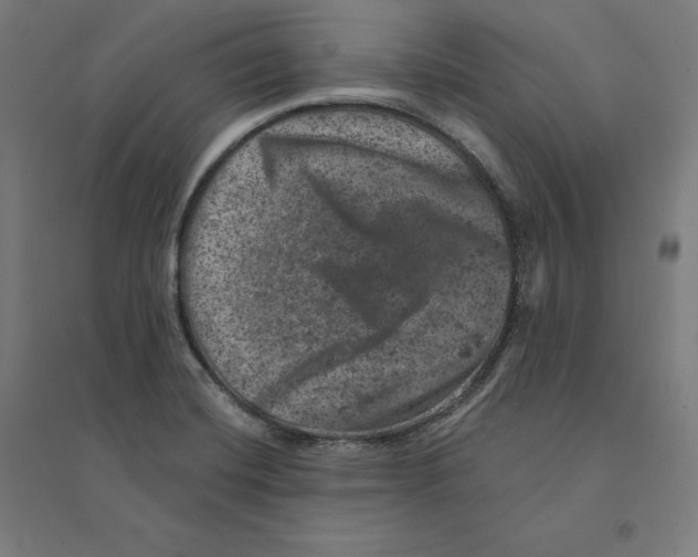 X0000094441420200712061126