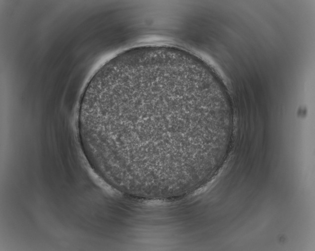 X0000094441421200712061126