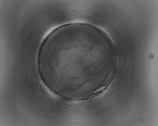 X0000094441422200712061126