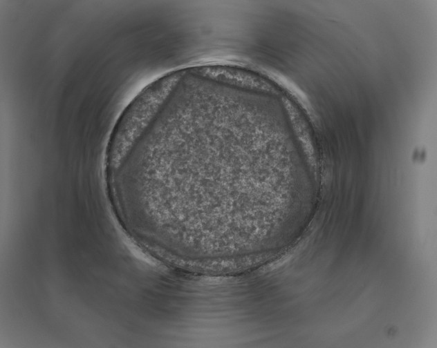 X0000094441423200712061126