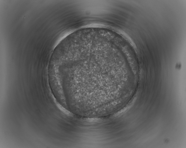 X0000094441425200712061126