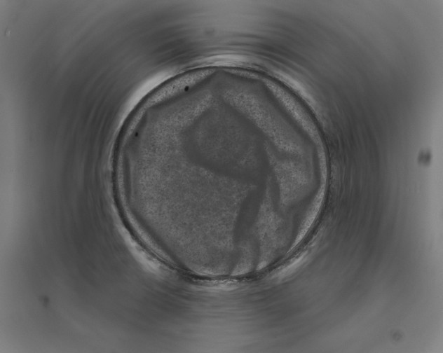 X0000094441426200712061126