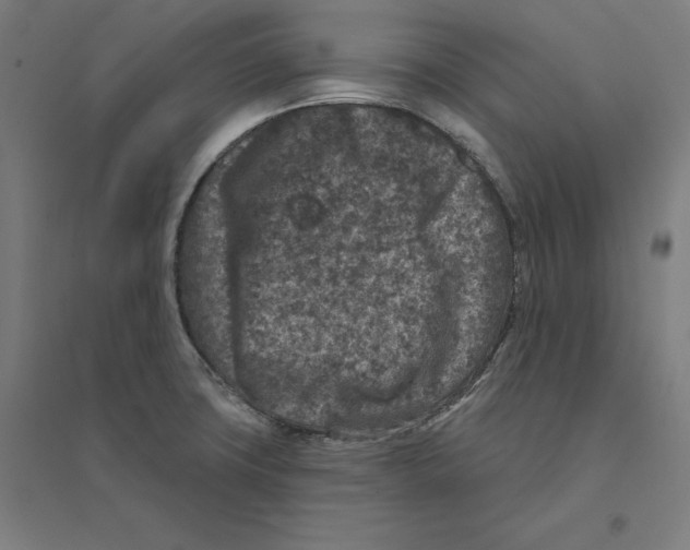 X0000094441427200712061126