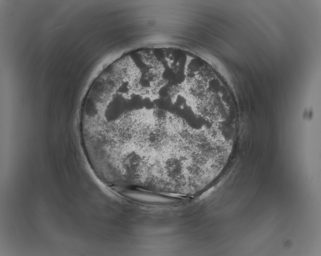 X0000094441429200712061127