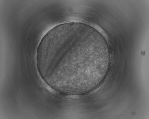 X0000094441431200712061127