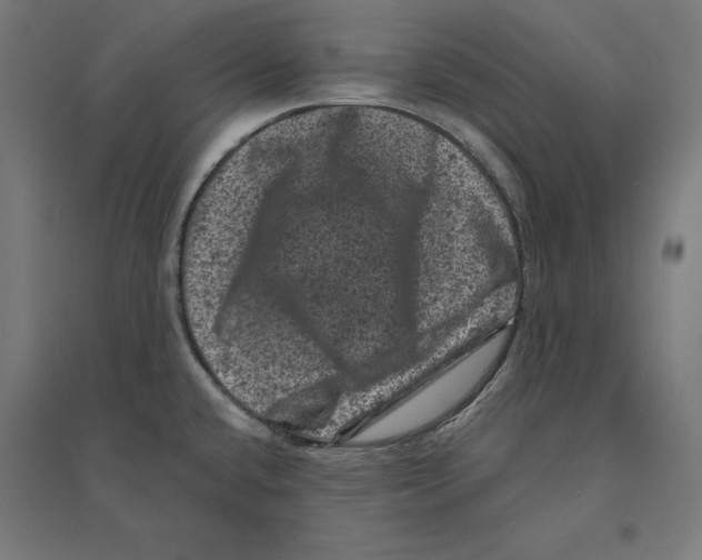 X0000094441432200712061127