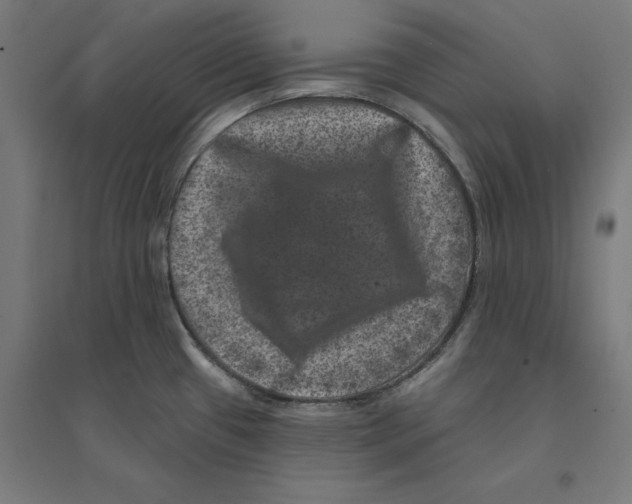 X0000094441433200712061127