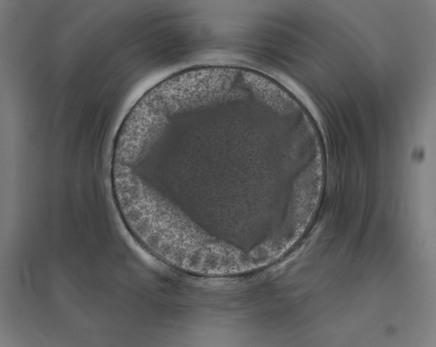 X0000094441437200712061127