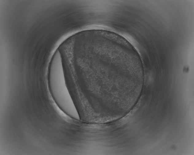 X0000094441438200712061127