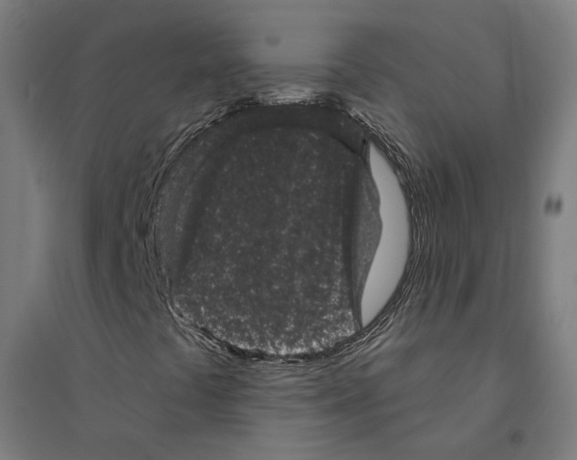 X0000094441441200712061126