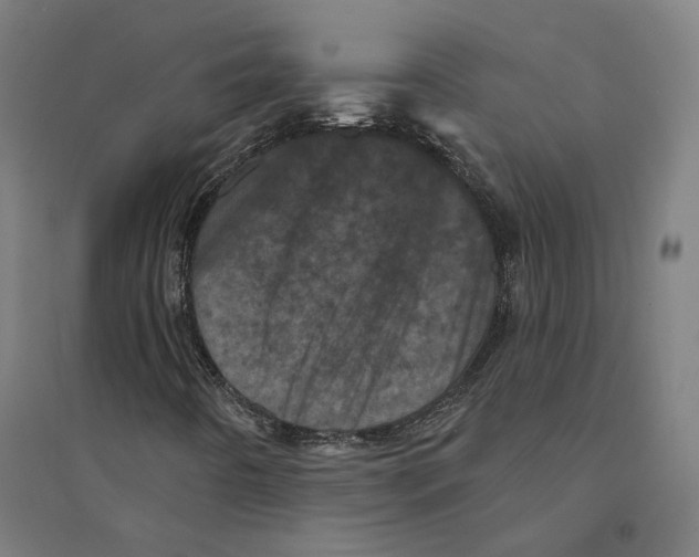 X0000094441442200712061126