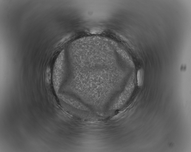 X0000094441443200712061126