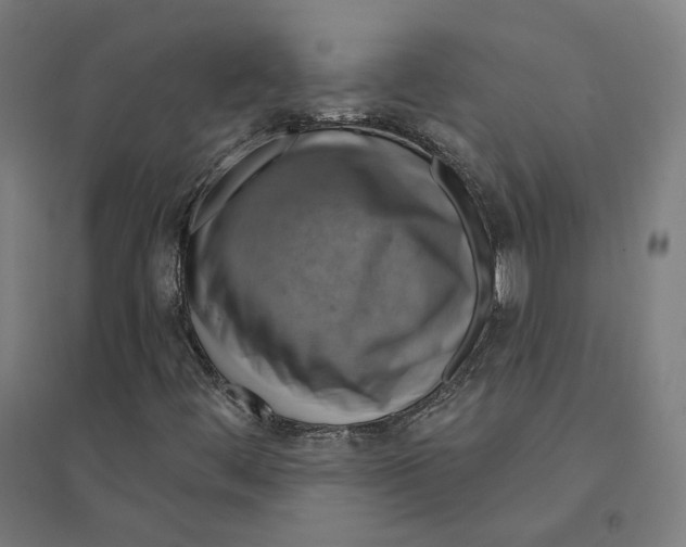 X0000094441444200712061126