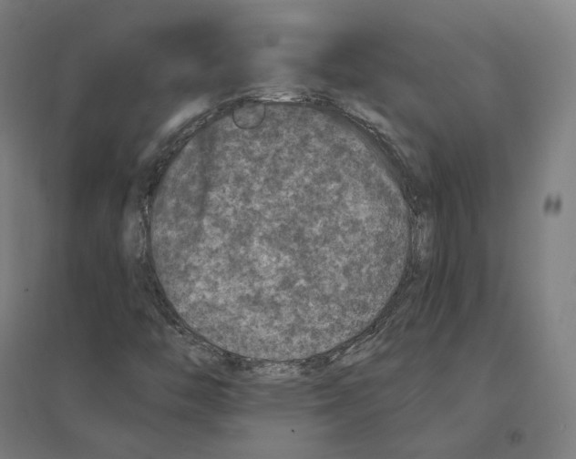 X0000094441446200712061126