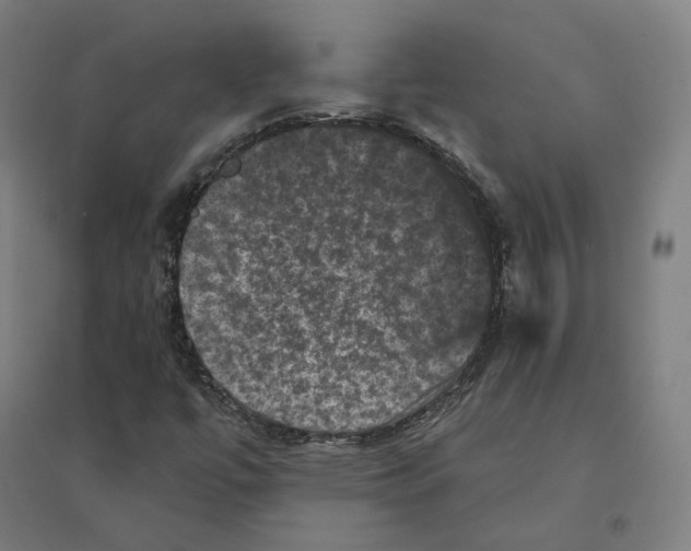 X0000094441447200712061126