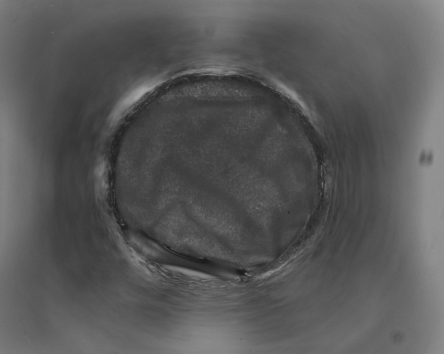 X0000094441448200712061126