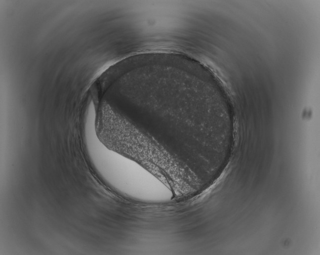 X0000094441449200712061126