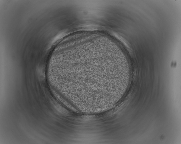 X0000094441451200712061126