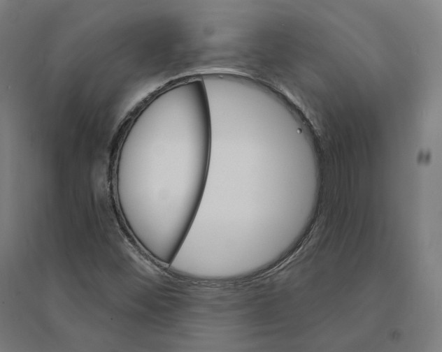 X0000094441452200712061126