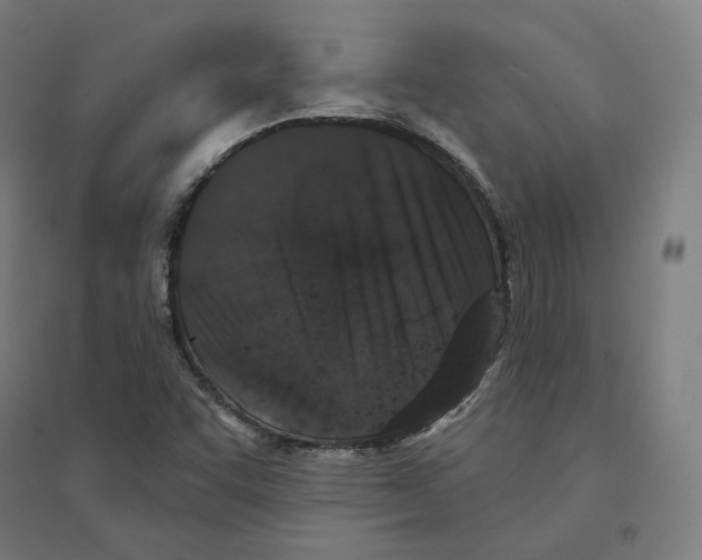 X0000094441455200712061126