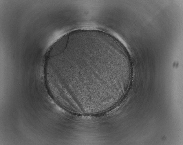 X0000094441456200712061126