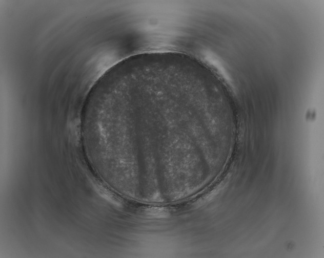 X0000094441457200712061126