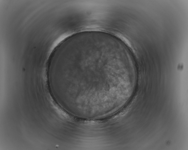 X0000094441458200712061126