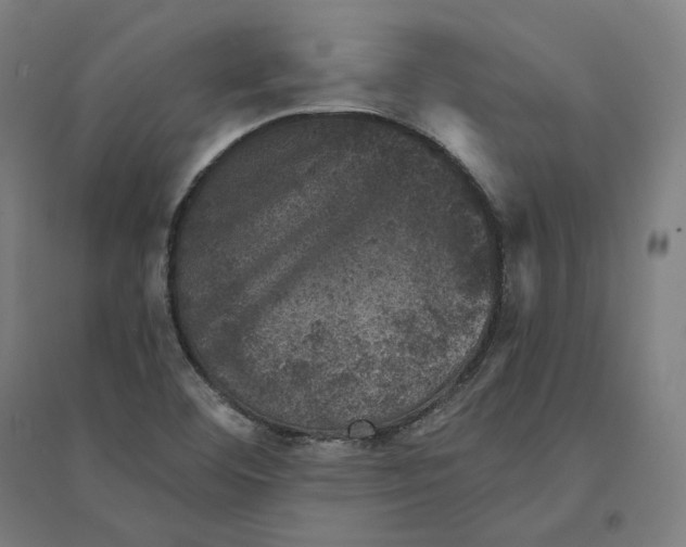 X0000094441460200712061126