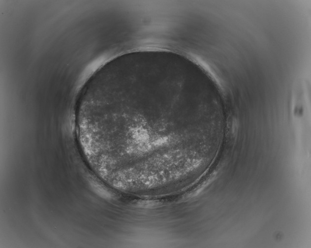 X0000094441461200712061126