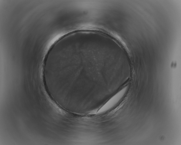 X0000094441463200712061126